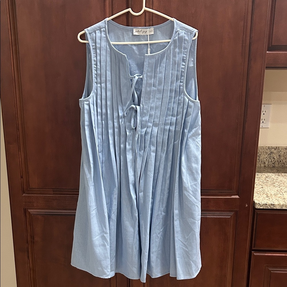 Petal & Pup Sky Blue Pleated Dress